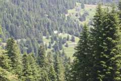 j2-paysage-chalet-2.JPG