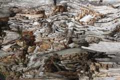 j2-nature-morte-mosaique.JPG