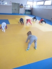 P1640061.jpg