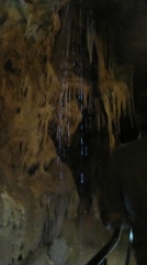 IMG_6410.JPG