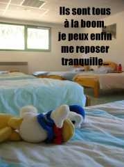 19 novembre.jpg