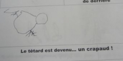 P1520124.jpg