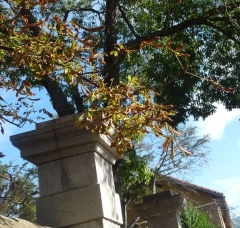 P1450652.jpg