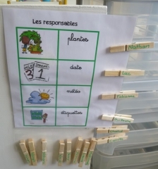 P1550666.jpg