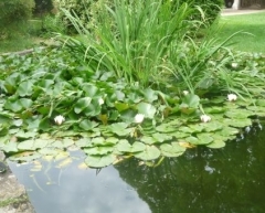 P1660014.jpg