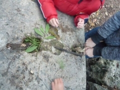 P1570258.jpg