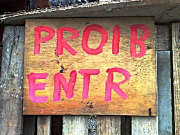 06012009132_edited-1.jpg