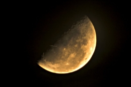 IMG_0748 copy1.jpg