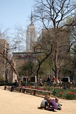 fotografia, nova york