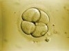 bioéthique,recherche scientifique et médicale,affaires sociales