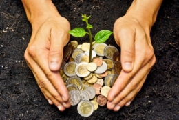 les-revenus-agricoles-2013-encore-plus-bas-qu-annonce.jpg