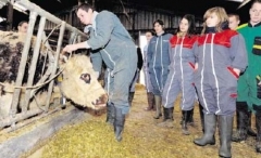 agri05.jpg