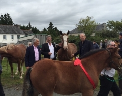 foire commana sept 2015.jpg