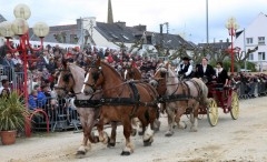 Chevaux 5.JPG