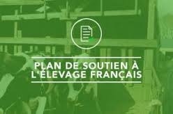 plan de soutein à l'élevage.jpg