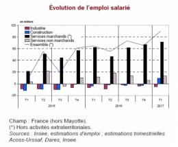 insee.jpg