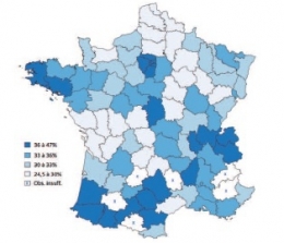 Sans titre.jpg
