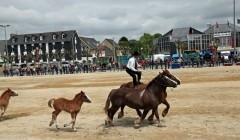 Chevos 3.JPG