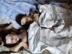 françois marc,bachar el assad,syrie
