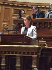 projet de loi de transition énergétique pour la croissance verte,ségolène royal,conférence de rio sur le climat