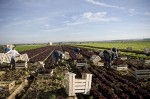 ouviers agricoles.jpg