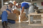 Valeur travail.gif