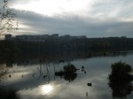 DSCF0823.JPG