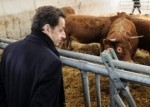 sarko et la vache.jpg