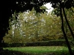 DSCF0810.JPG
