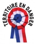 cocarde 1.JPG