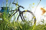 velo.jpg