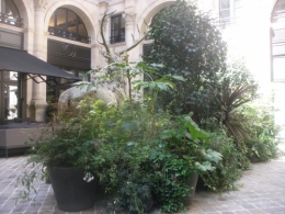 paris,promenade,douceur.