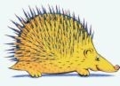 a936c824ce0de8983fd4729952935457.jpg