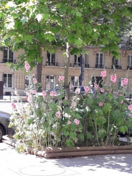 paris,brocante,embouteillage.