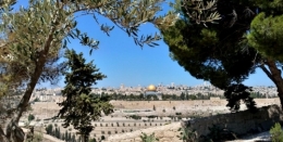 Israël, juifs, arabes