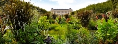 merveille,jardin des plantes,grande galerie de l'évolution