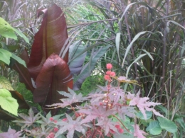 amitié,grève,jardin des plantes.