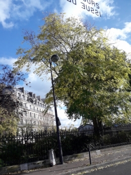 paris,couvre feu,lecture