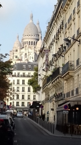 paris,rock,chat