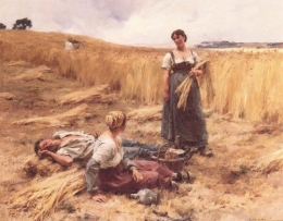 moissonneurs.jpg