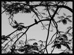1cb5d68f3e011552b31ede56bc3574a3.jpg