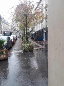 nouvelle année,les voeux,la routine