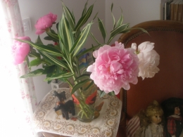 amitié,pivoines,arbres