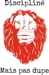 illustration lion masque4.jpg