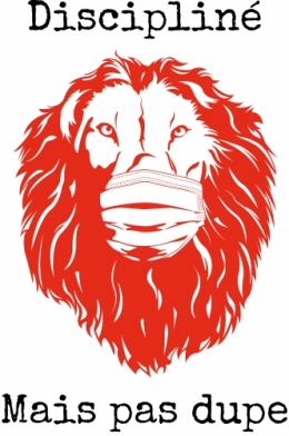 illustration lion masque4.jpg