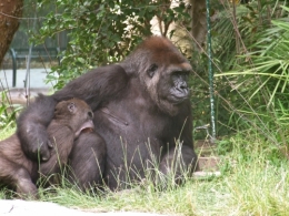 DSCF5497.JPG