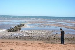 québec,îles,prince edouard,madeleine,traversier,pont,golfe,moncton,paysage
