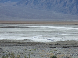 DSCF5735.JPG