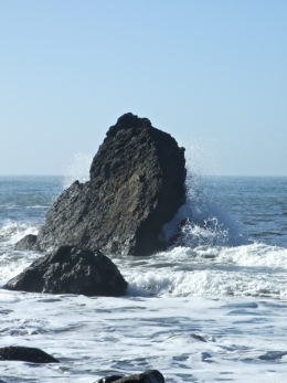 DSCF0207.JPG