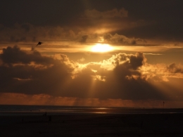 DSCF4166.JPG